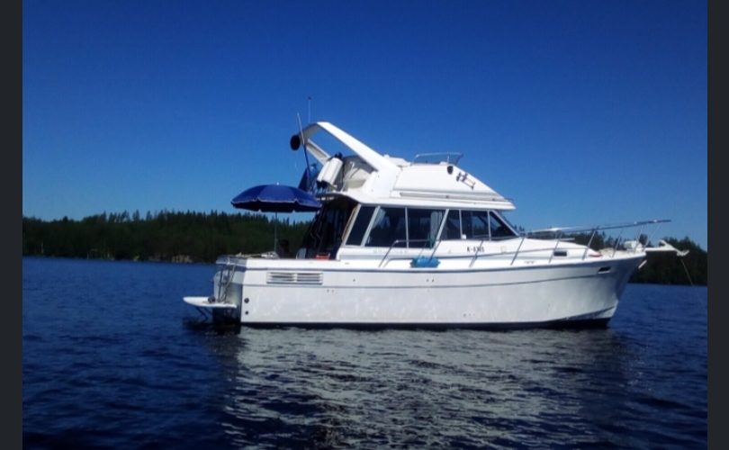 Bayliner 3288-kuva-13